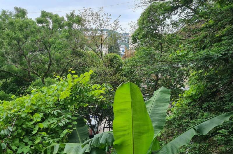 Гостевой дом «У Зои»