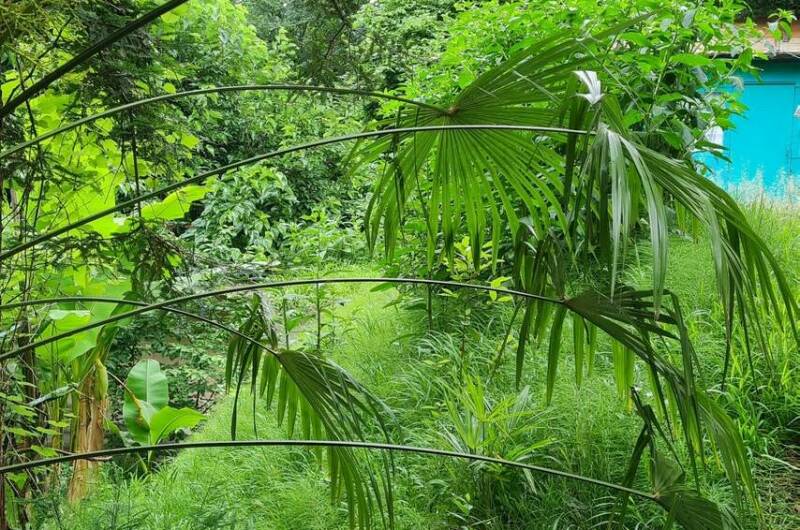 Гостевой дом «У Зои»