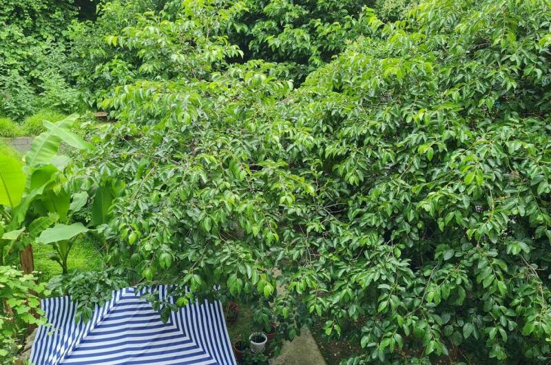 Гостевой дом «У Зои»