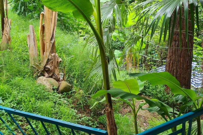 Гостевой дом «У Зои»