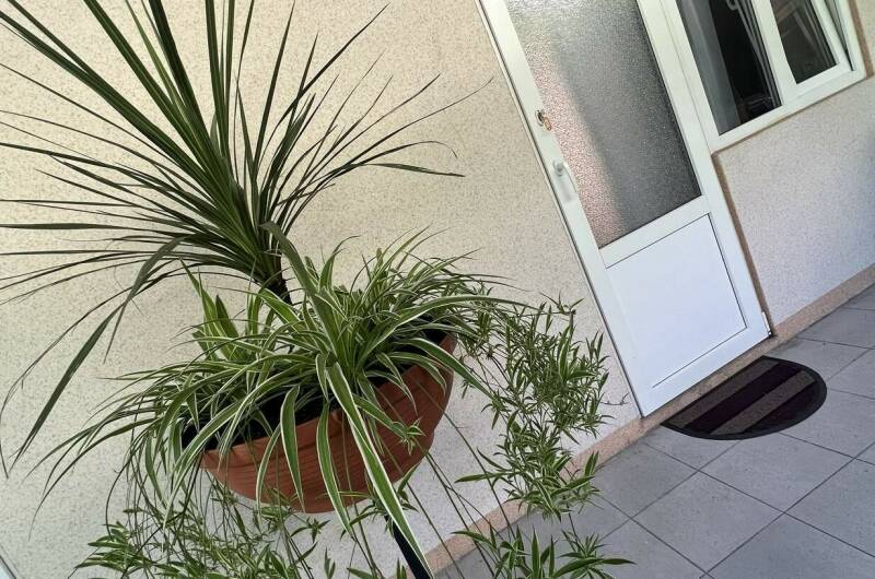 Гостевой дом «ЛариЛанка»