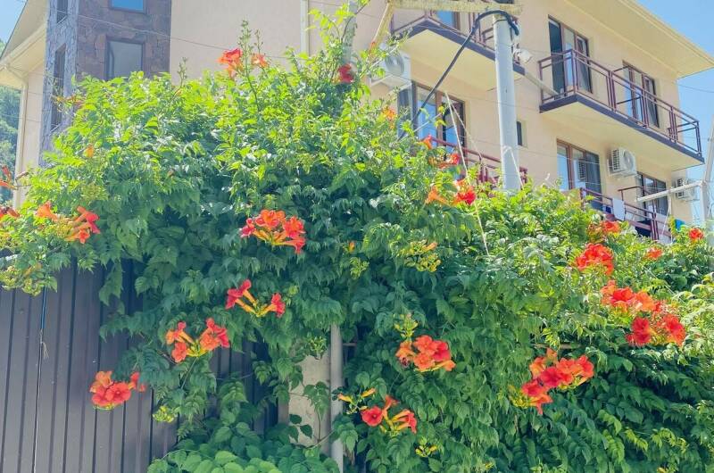 Гостевой дом «ДаМир»