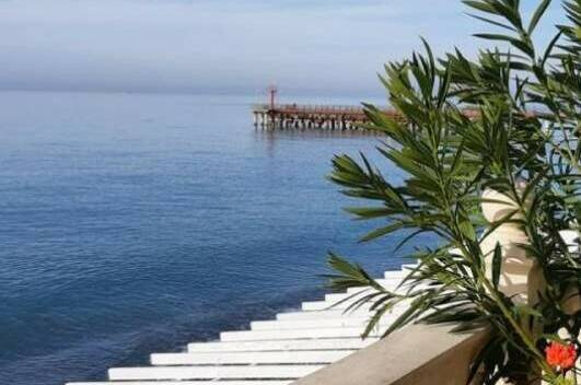 Эллинг «Каталея»