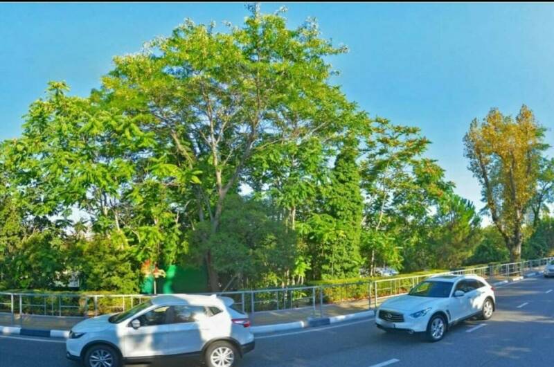 Гостевой дом «Ривьера»