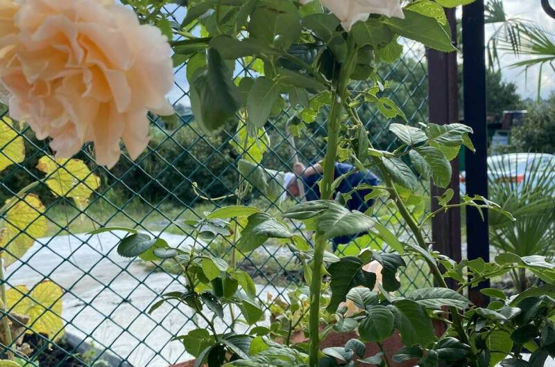 Гостевой дом «У Черного моря»