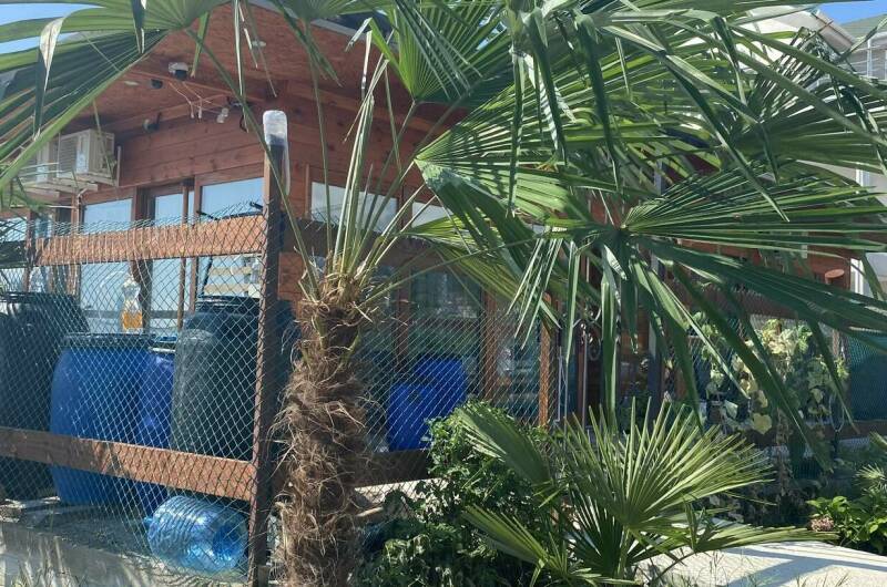 Гостевой дом «У Черного моря»