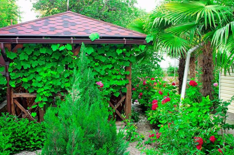 Гостевой дом «Sofia»