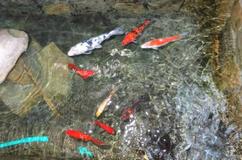 Частный сектор «Милана»