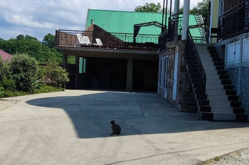 Гостевой дом «Эверест в Горном воздухе»