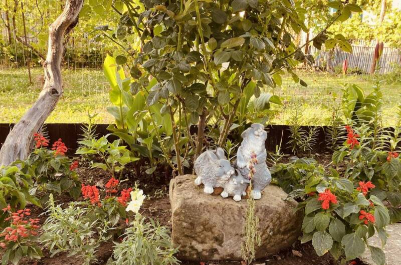 Гостевой дом «У Зои»