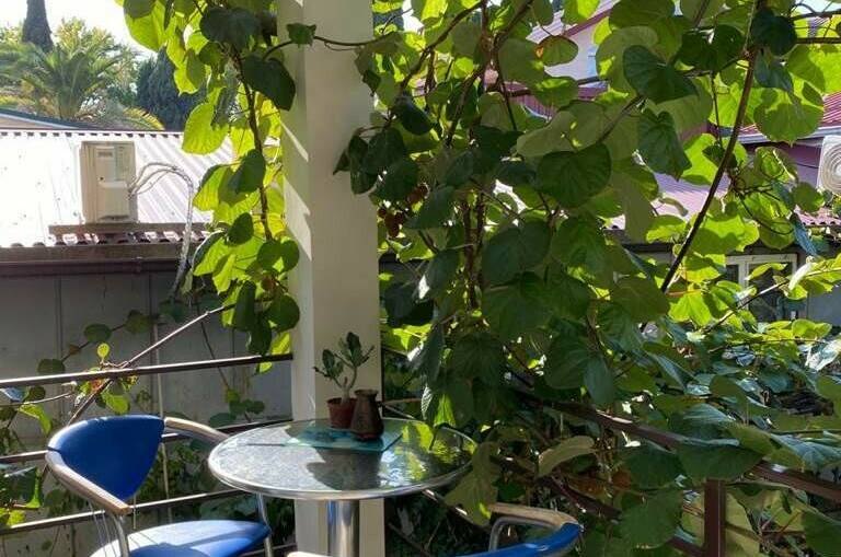 Гостевой дом «У Лёвы»