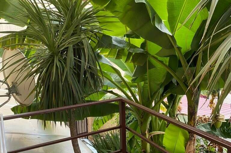 Гостевой дом «У Лёвы»