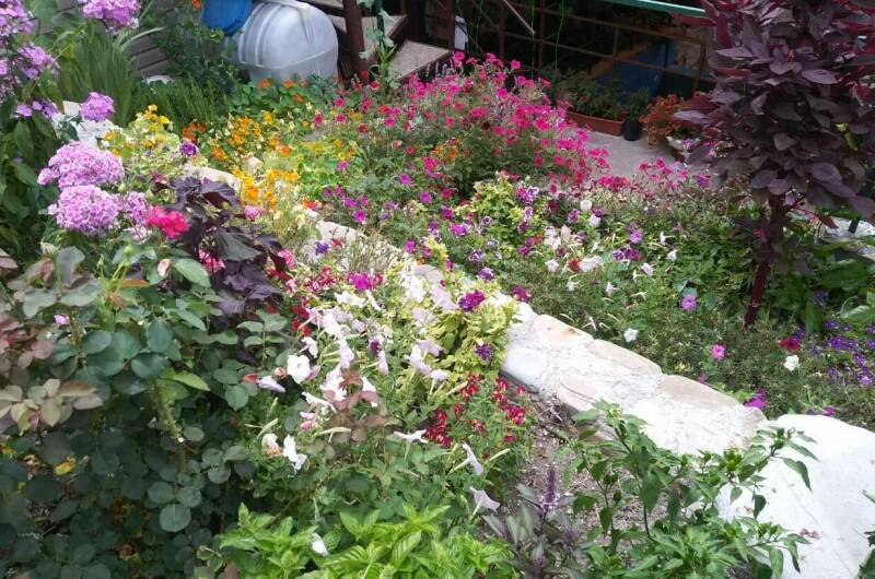 Гостевой дом «Гармония у Елены»