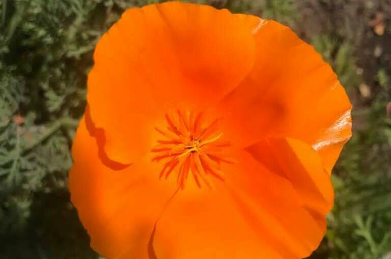 Гостевой дом «Marianna»