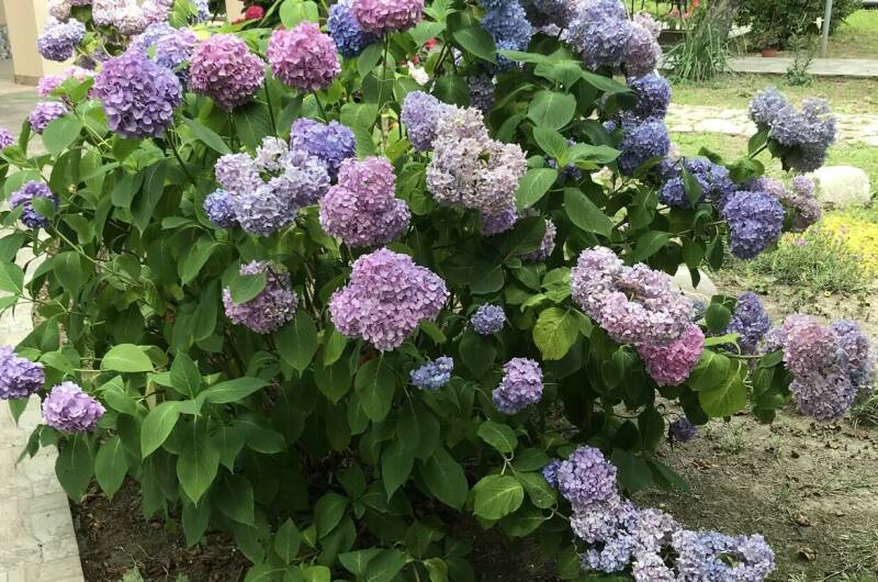 Гостевой дом «Ачегу»