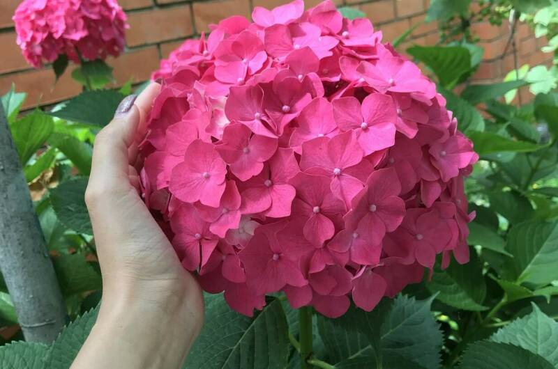 Гостевой дом «Ачегу»