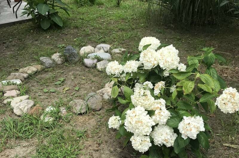 Гостевой дом «Ачегу»