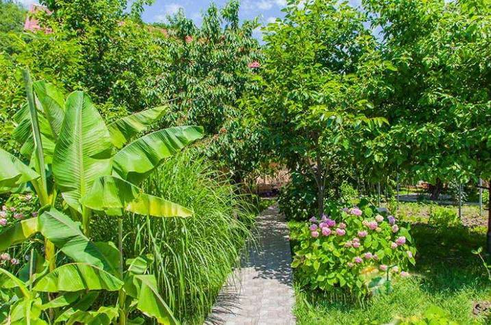 Гостевой дом «Ачегу»