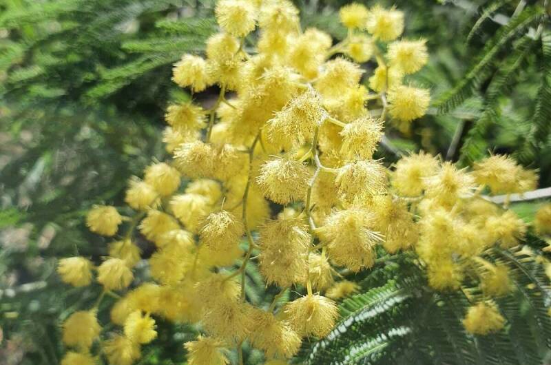 Квартира-студия «У Жанны»