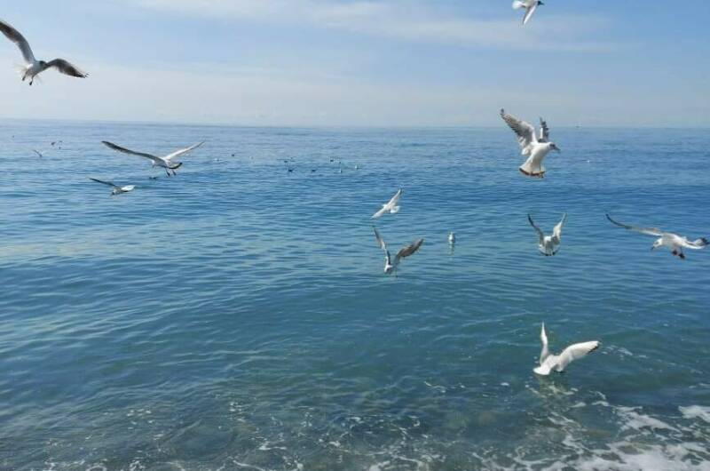 Квартира-студия «У Жанны»