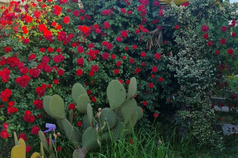 Гостевой дом «Кокос»