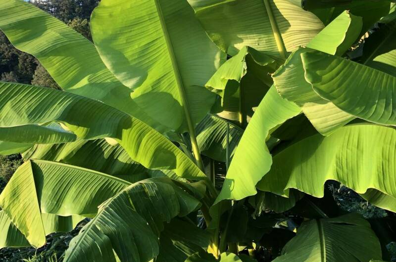 Гостевой дом «Рио де Чемитка»