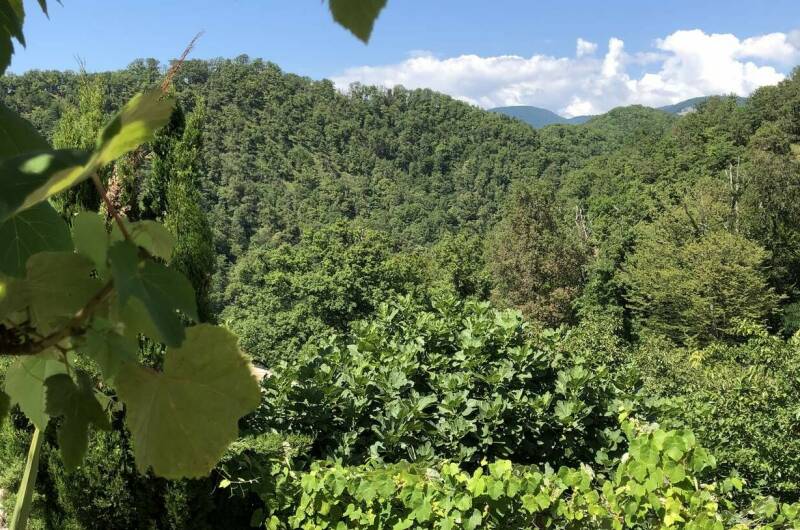 Гостевой дом «Рио де Чемитка»