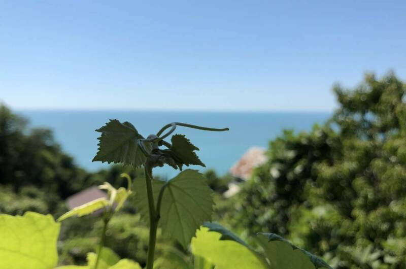 Гостевой дом «Рио де Чемитка»