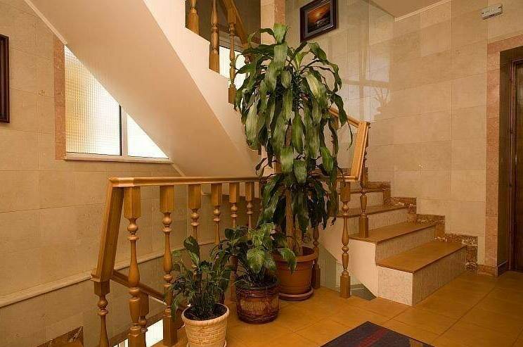 Эллинг «Алекрини»