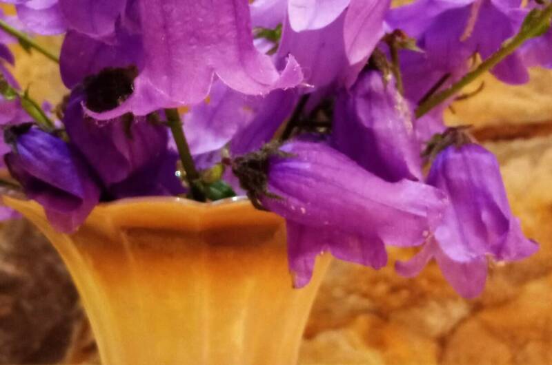 Двухкомнатная квартира в частном доме