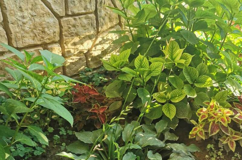 Гостевой дом «Балкон»