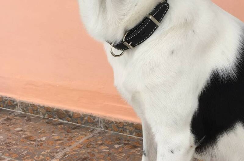 Гостевой дом «Элина»