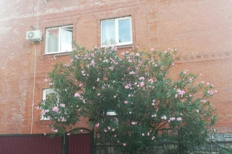 Гостевой дом «Фишт»