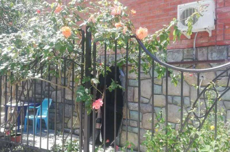 Гостевой дом «Фишт»