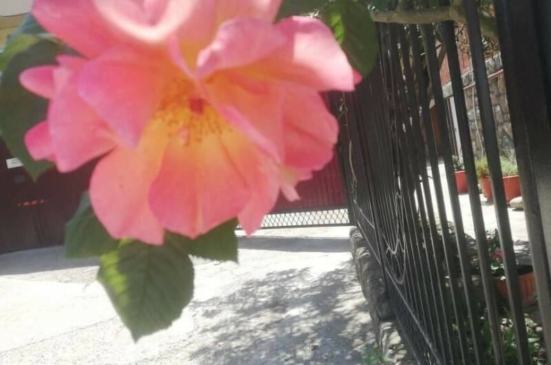 Гостевой дом «Фишт»