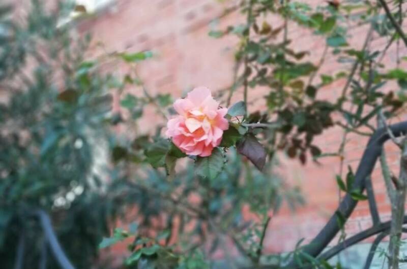 Гостевой дом «Фишт»