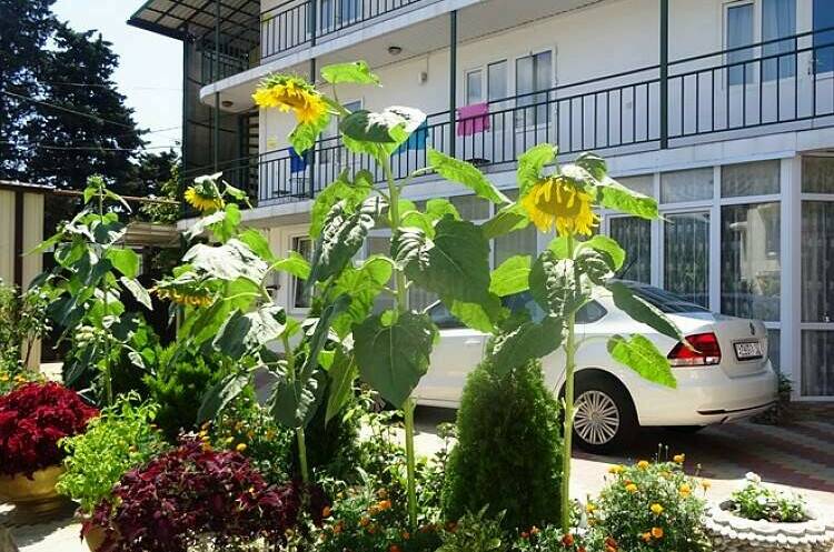 Частный сектор на Калараш 77