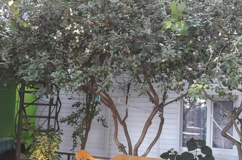 Частный сектор «У Натальи»