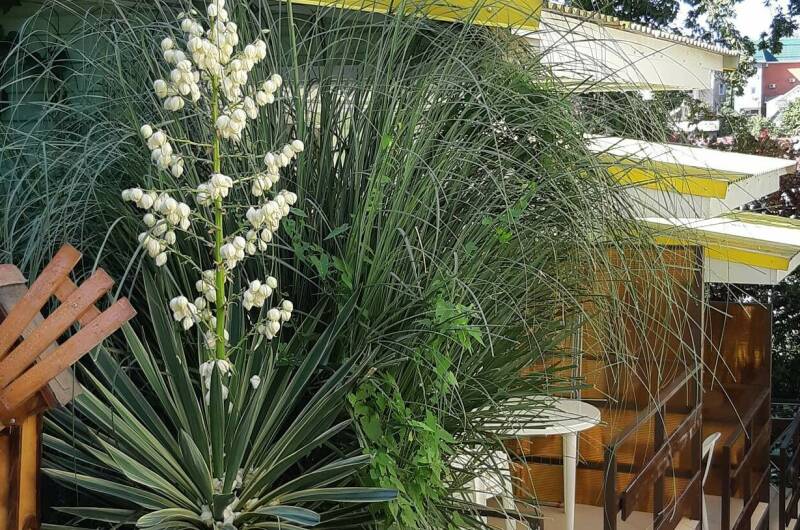 Гостевой дом «Дубовая роща»