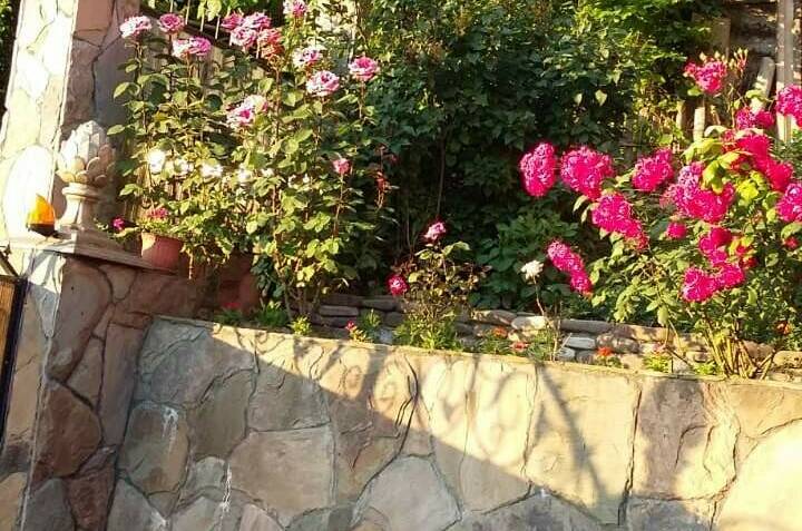 Гостинный дом «Кетук»