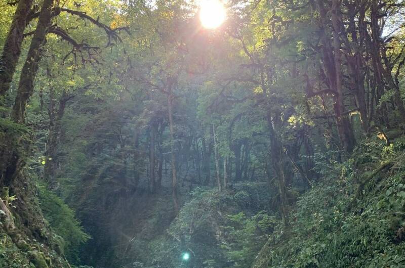 Дом под ключ «Лес и море»