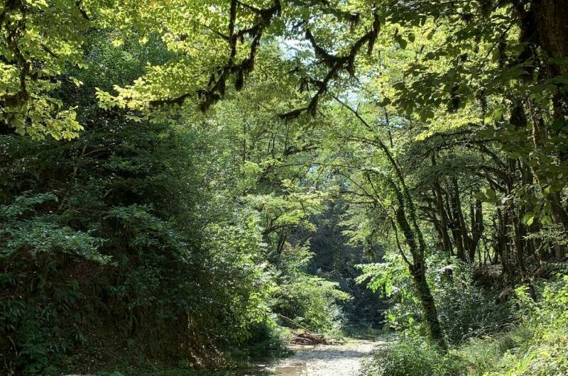Дом под ключ «Лес и море»