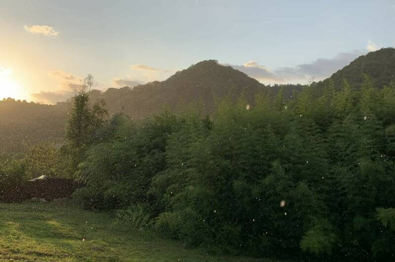 Дом под ключ «Лес и море»