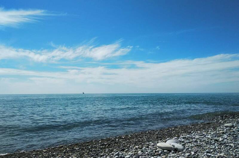 Гостевой дом «Frigat»