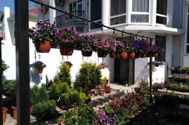 Гостевой дом «Долина цветов»