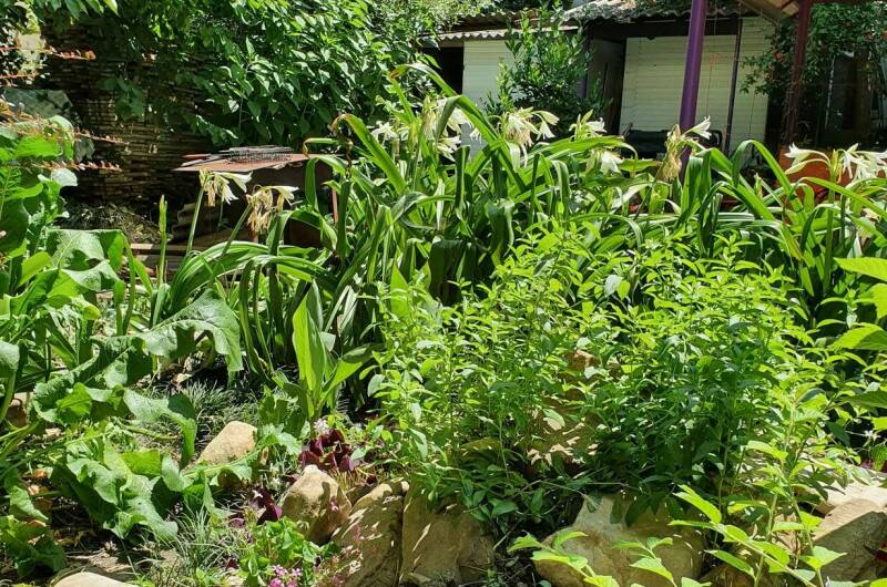 Гостевой дом «У моря»