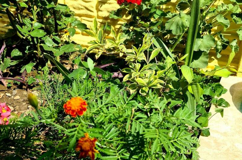 Гостевой дом «У Моря»