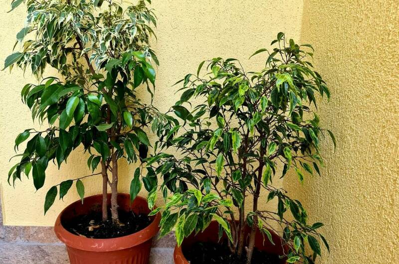 Гостевой дом «У Моря»