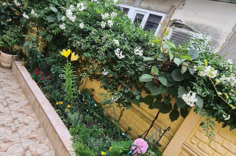 Гостевой дом «У Моря»