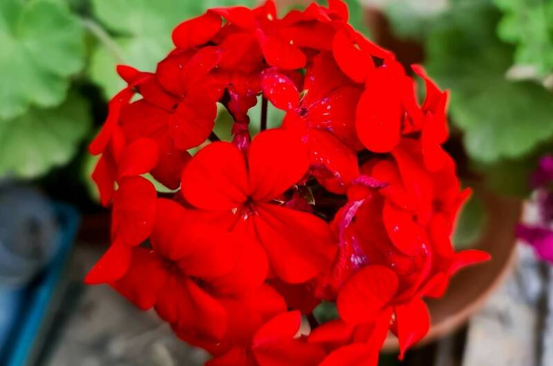 Гостевой дом «У Моря»